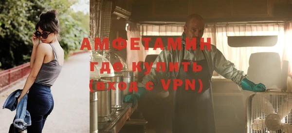 мет Алексин