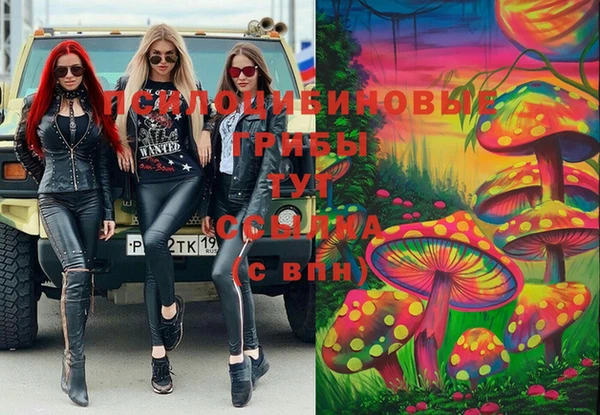 мет Алексин