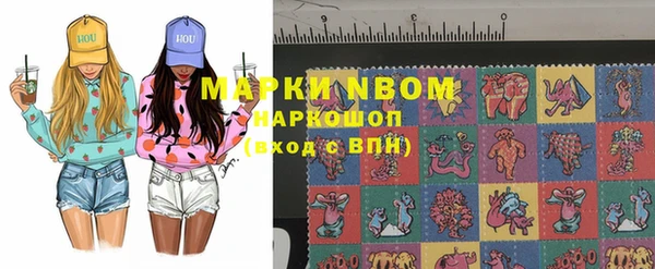 хмурый Алзамай