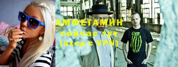 мет Алексин