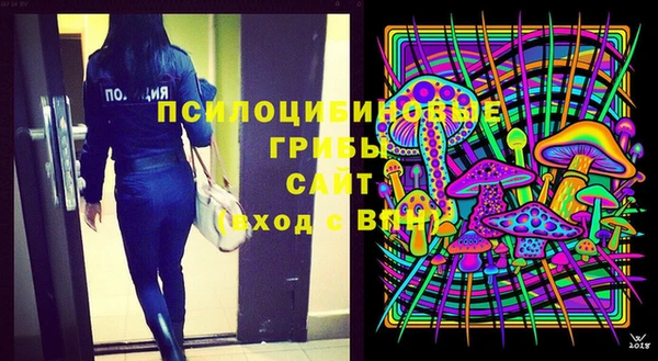 хмурый Алзамай