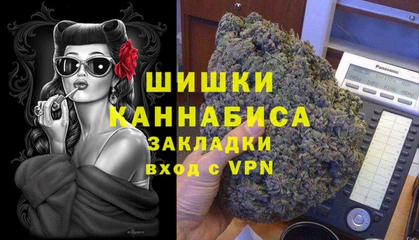 хмурый Алзамай