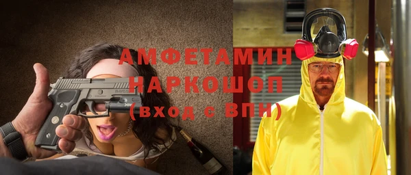 мет Алексин
