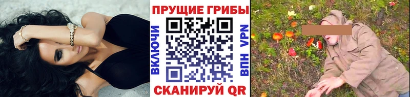Псилоцибиновые грибы мицелий  мега ССЫЛКА  даркнет формула  Венёв 